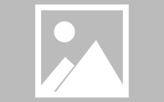 凤城网站建设许昌论坛（许昌网站seo）